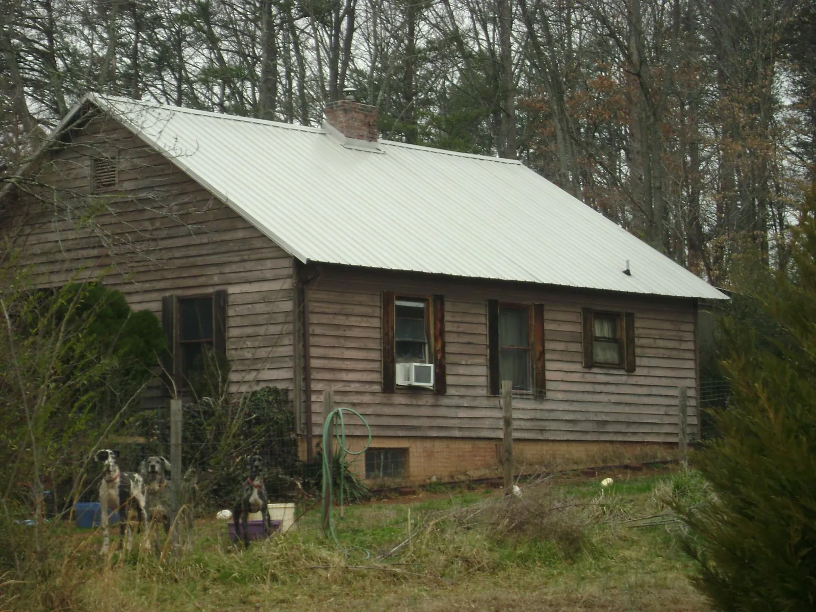 White metal roof on an old wood sided farmhouse, from a Asphalt Shingle Roof Repair job in Whitfield